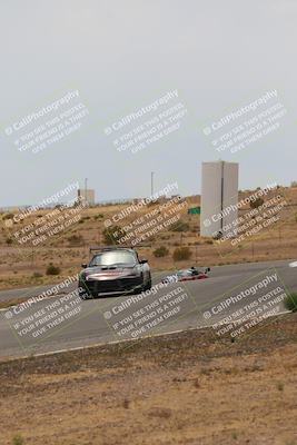 media/May-03-2025-Lucky Dog Racing (Sat) [[206de64b9d]]/Turn 6 (150pm-230pm)/